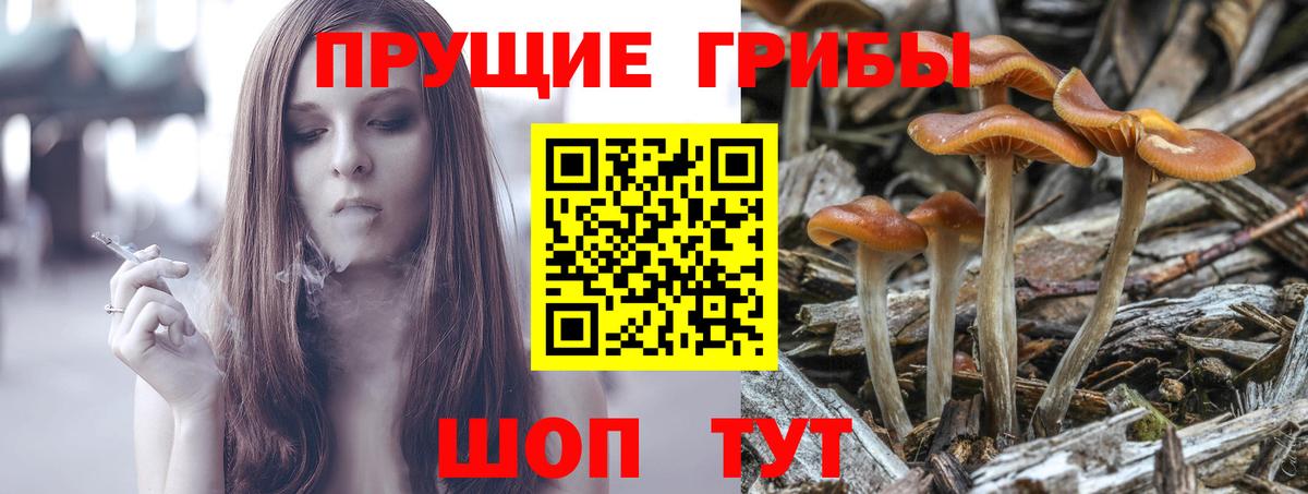Галлюциногенные грибы GOLDEN TEACHER Гусев
